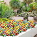 Miniatyrbild 4 av 10: Lollanda 8-Pack Konstgjorda Blombuketter – Realistiska Prästkragar För Hem Och Dekoration