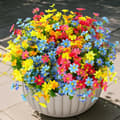 Miniatyrbild 5 av 10: Lollanda 8-Pack Konstgjorda Blombuketter – Realistiska Prästkragar För Hem Och Dekoration