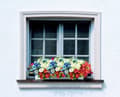 Miniatyrbild 7 av 10: Lollanda 8-Pack Konstgjorda Blombuketter – Realistiska Prästkragar För Hem Och Dekoration