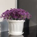 Miniatyrbild 2 av 7: Lollanda Konstgjorda blommor, UV-beständig, underhållsfri, vattentålig, långvarig, elegant, dekorativ, för balkong, trädgård, fester