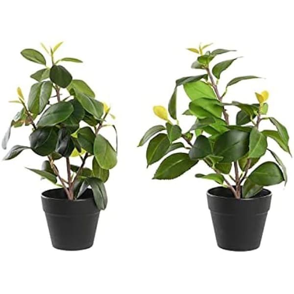 Dekorativ växt - DKD Home Decor - Standard - Grön - Polypropylen - 64x58x40 cm