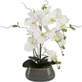 Miniatyrbillede 2 af 2: Orkidé, Kunstige Blomster, Vase Inkluderet,Hvid