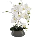 Miniatyrbillede 1 af 2: Orkidé, Kunstige Blomster, Vase Inkluderet,Hvid