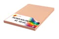 Miniatyrbillede 1 af 3: Farvet papir A4 80g laks 100 ark