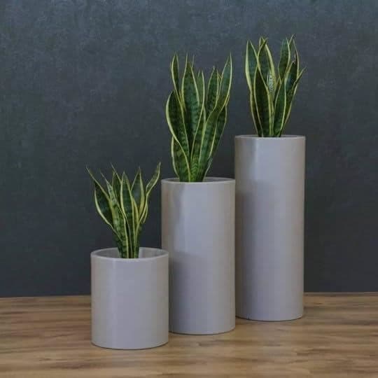 Kloris Barocco Cylindrisk Blomkruka 40 Taupe polyeten