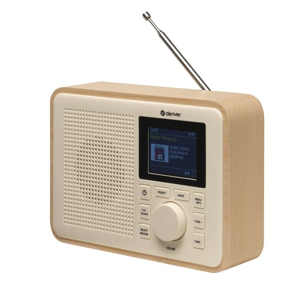DAB Radio DAB+ FM AA batteries
