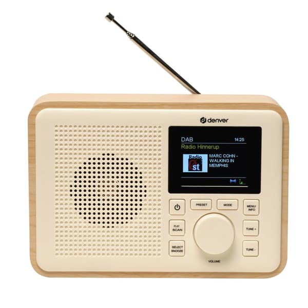 DAB Radio DAB+ FM AA batteries