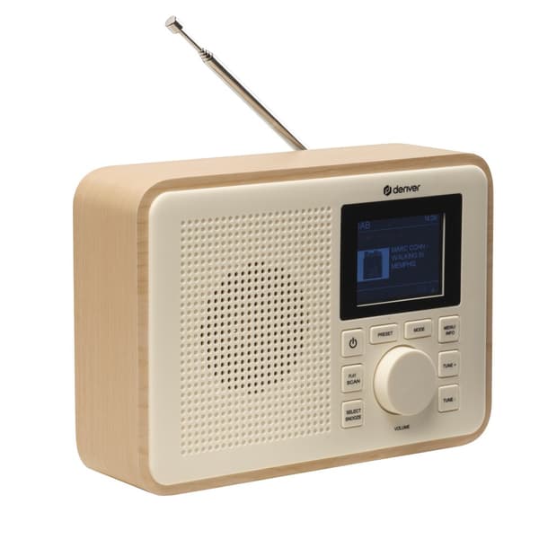 DAB Radio DAB+ FM AA batteries