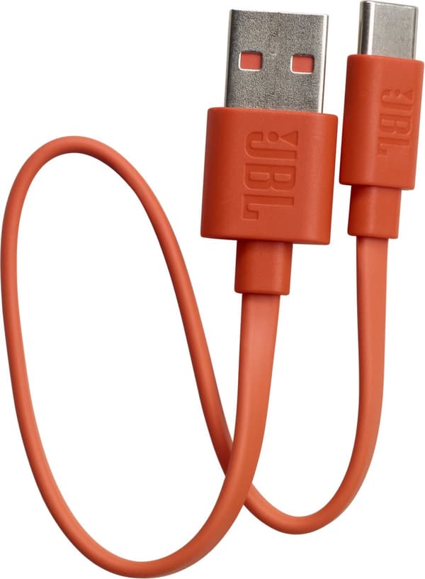 JBL wireless earbuds Live Flex, silver