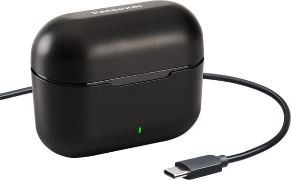 Panasonic wireless earbuds RZ-B310WDE-K, black