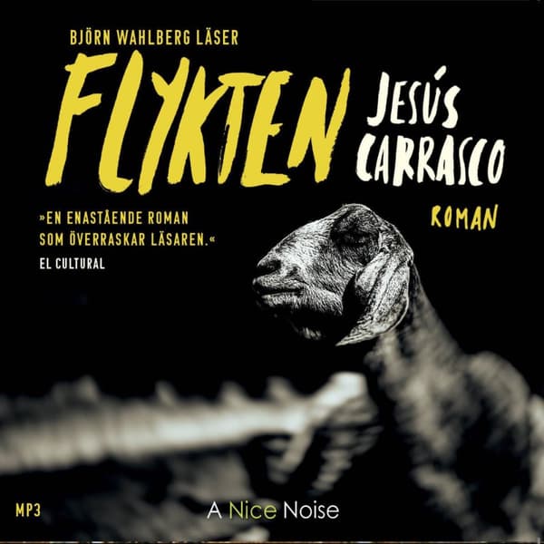 Flykten (Ljudbok)