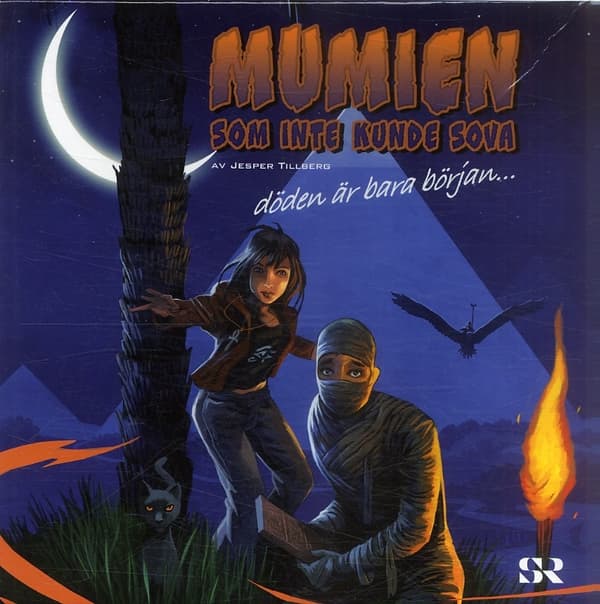 Mumien Som Inte Kunde Sova (Ljudbok)