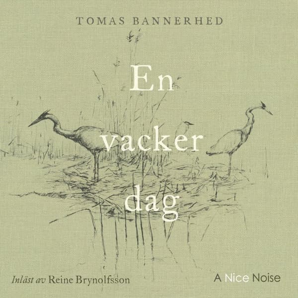 En Vacker Dag (Ljudbok)