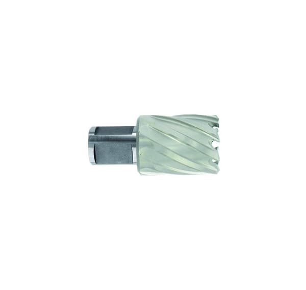 HSS Ørebor Ø17X60X30 mm, kort serie. Weldon skaft Ø19 mm. Lys, ubelagt