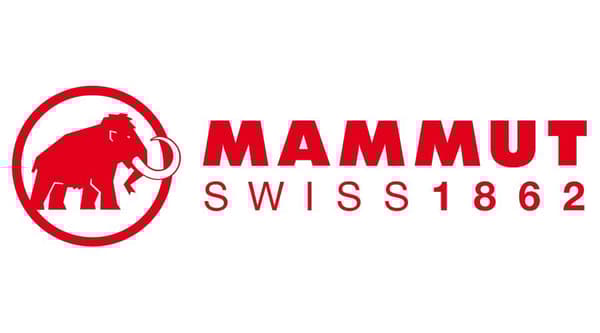 MAMMUT BARRYVOX PACKAGE PRO LIGHT LAVINPAKET (tranceiver, spade, sond)