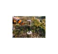 Miniatyrbild 2 av 2: Klyvkil 1500g