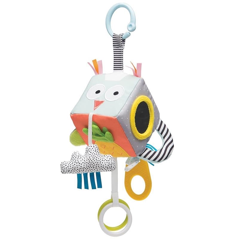 Taf Toys Developmental Cube