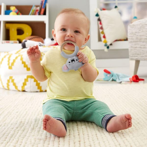 Fisher Price Senimals