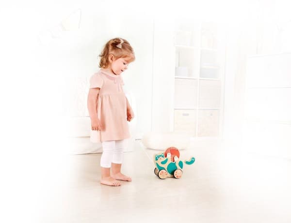 Hape Roll & Rattle Kitten