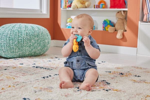 Fisher Price Activity toy Shake & Rattle Leopard