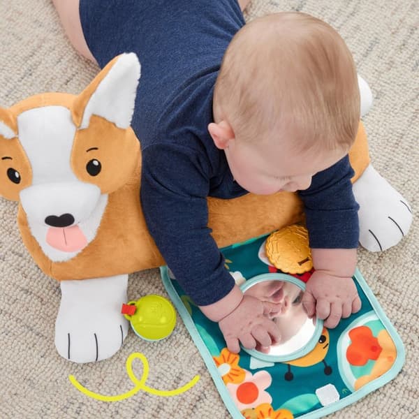 Fisher Price 3-in-1 Puppy Tummy Wedge