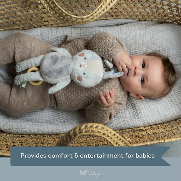 Rylee Musikalisk Aktivetsleksak Kanin TAF Toys