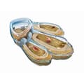 Miniatyrbild 3 av 3: Vetenskapsspel Clementoni Triops Les animaux préhistoriques FR