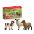 Miniatyrbild 1 av 6: Playset Schleich 42660 FARM WORLD