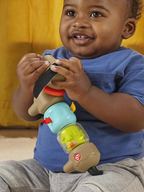 Fisher Price Click & Spin Aktivitetshund