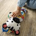 Miniatyrbild 4 av 4: BABY EINSTEIN var lekfull kompis