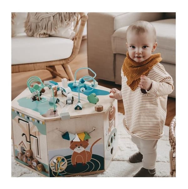 Small foot company - XXL Motor Skills Cube Pets - LEGLER