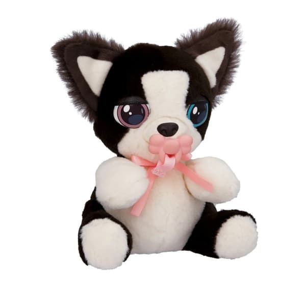 Baby Paws Mini - Border Collie