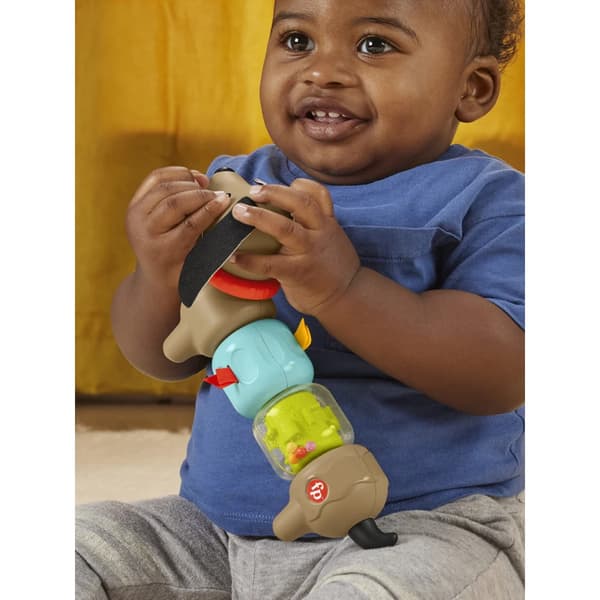 Fisher Price Click & Spin Activity Pup