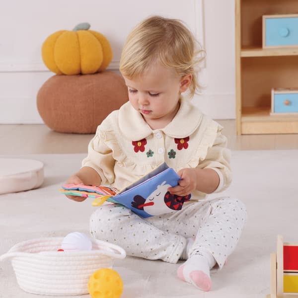 TOOKY TOY Box XXL Montessori Educational 6 in 1 Sensory Box 5-6 kuukautta