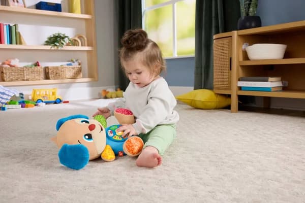 Fisher Price Laugh & Learn Smart Stages Puppy Sv, Dk, Fi, No, En