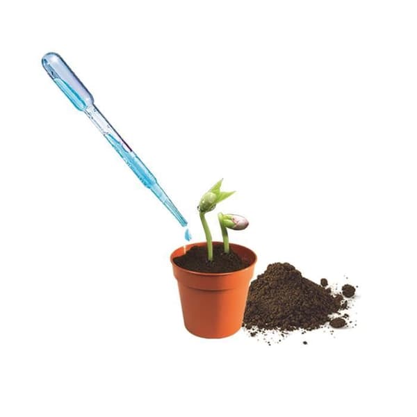 CLEMENTONI Mini Botaniskt Växthus