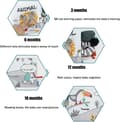 Miniatyrbild 5 av 7: Lollanda Sensorisk Djurtailsbok i Tyg, Sensoriska leksaker, Aktivitets- och utvecklingsleksaker för barn - Pekbok för 0-3 År