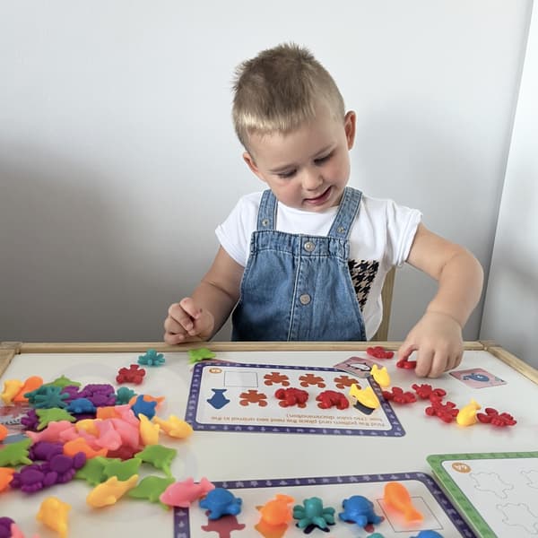 WOOPIE Räknelära Montessori Färgsorterare – Hav & Land, 111 delar