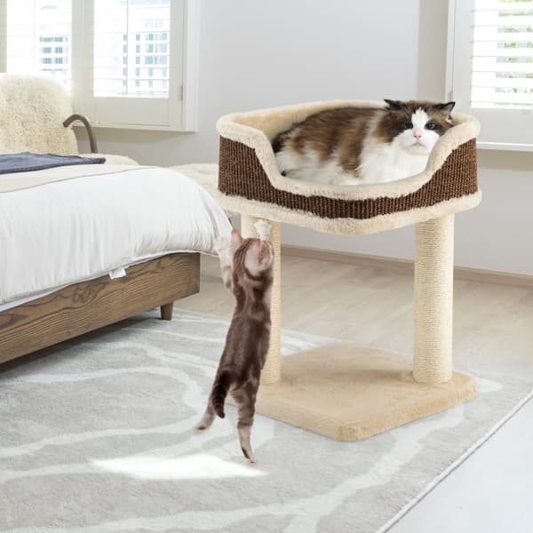 Kattträdstorn, 35x35x50 cm, Beige