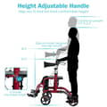 Miniatyrbild 5 av 8: Rollator, 24x40,5x33,5-38,5 tum, Röd