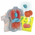 Miniatyrbillede 2 af 6: Interactive Toy for Babies Clementoni