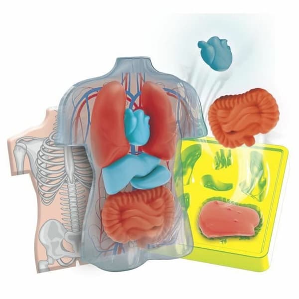 Interactive Toy for Babies Clementoni