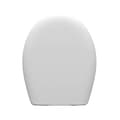 Miniatyrbild 1 av 2: Toilet Seat Prhie loira White