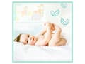 Miniatyrbild 2 av 5: Pampers Premium Protection 81689094 engångsblöja pojke/flicka 5 148 st