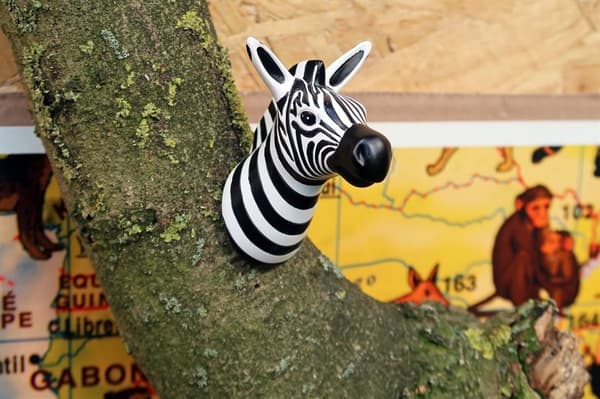 ZOO Ocean Knager - Elefant + Zebra