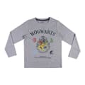 Pikkukuva 6 / 8: Pyjamat Lasten Harry Potter Harmaa - 14 vuotta