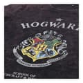 Miniatyrbillede 2 af 8: Langærmet T-shirt til Børn Harry Potter Mørkegrå - 12 år