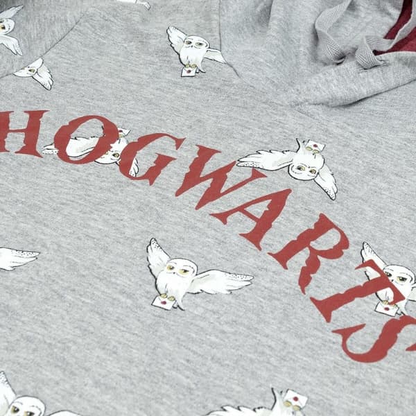 Hættetrøje til Børn Harry Potter Grå - 12 år