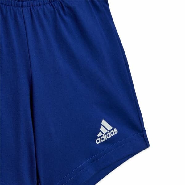 Träningskläder, Baby Adidas Essentials Organic Grå - 12-18 månader