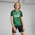 Miniatyrbillede 5 af 6: Sportstøj til Børn Puma Short Multifarvet - 15-16 år